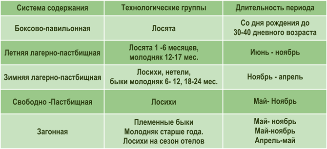 системы содержания лосей